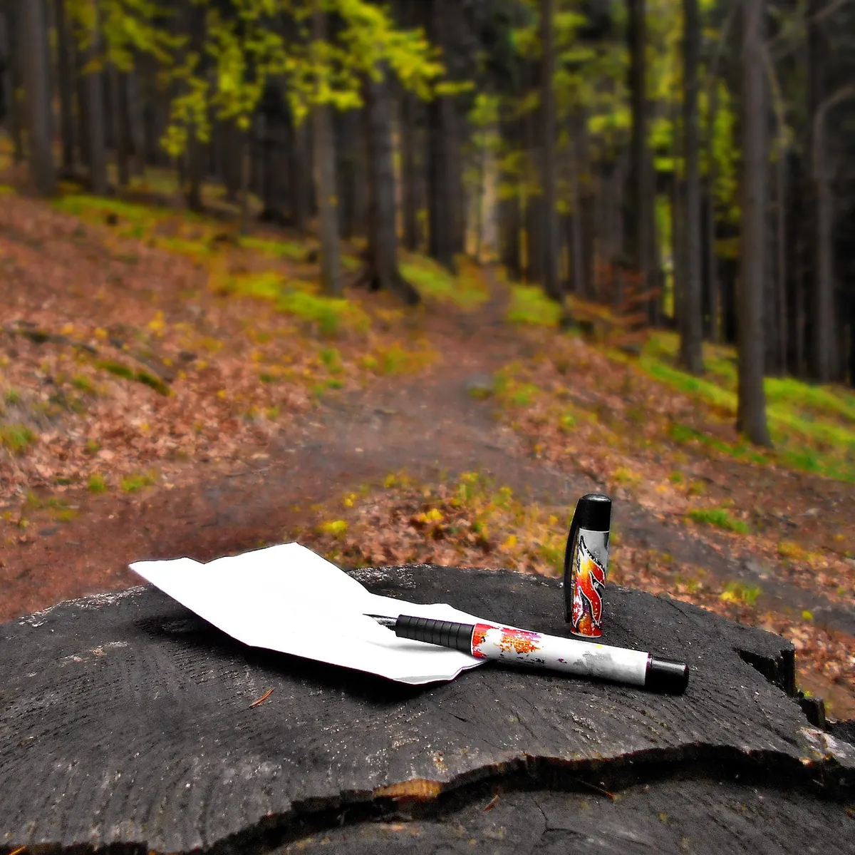 Autumn Journalling Prompts for Letting Go and Starting Again